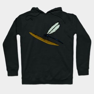 Sketched Dragonfly Hoodie